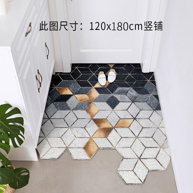 美帮汇北欧入户垫地垫口玄关丝圈脚垫可剪裁地毯进家用定制 梦境微光竖铺 100*120cm