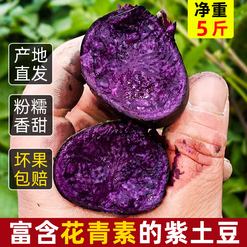 黑土豆净重5斤黑金刚新鲜黑土豆大土豆紫色洋芋马铃薯黑美人