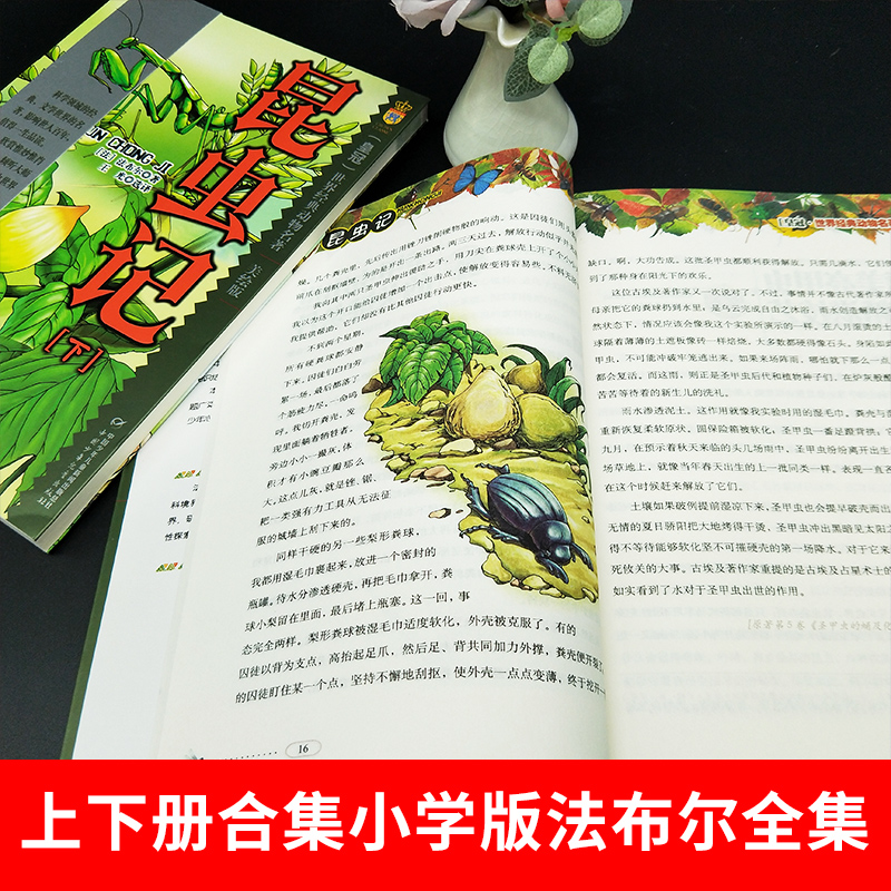 [正版]全2册 昆虫记美绘版 四年级 书上下册合集小学版法布尔全集彩绘版昆虫记中国少年儿童出版社原版小学生课外阅读书籍高清大图