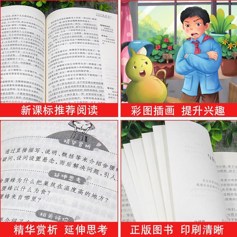 [曹文轩完整版]青铜葵花 [正版]全套2册 青铜葵花曹文轩完整版宝葫芦的秘密张天翼四年级下册课外书书目葫芦娃里的青铜奎花