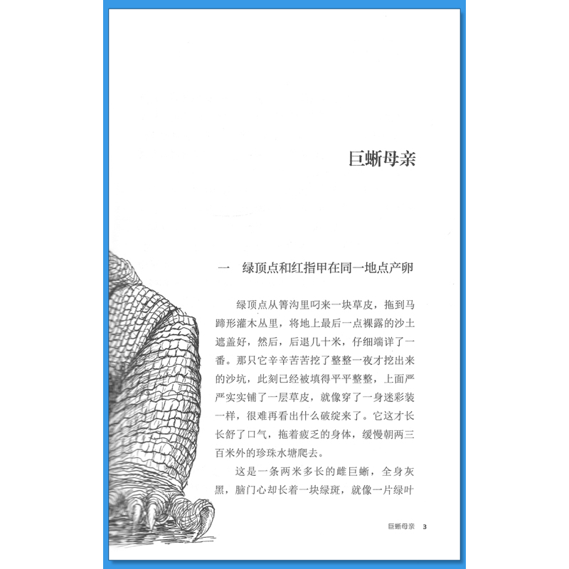 牧羊神豹 [正版]巨蜥母亲沈石溪小学四年级五年级全集全套书浙江少年儿童出版社版完整版动物小说大王品藏书系小学生课外阅读适