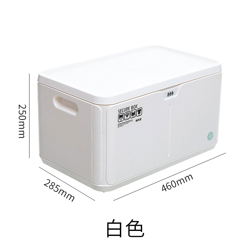 密码收纳箱文件收纳盒隐私箱子塑料带锁整理箱家用车载储物 三维工匠 白色密码箱（32L）