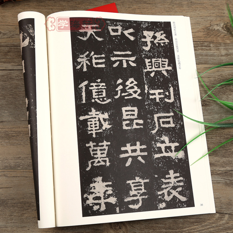 [正版]张迁碑中华碑帖隶书毛笔字帖附简体旁注软笔书法成人学生临摹临帖古贴鉴赏汉隶原大碑帖局部放大欣赏安徽美术出版社