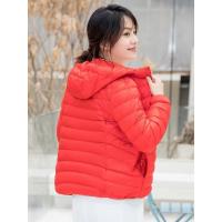 坦博尔女士轻薄羽绒服女春季韩版时尚休闲女装短款反季连帽百搭外套