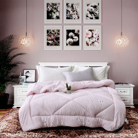 路易卡罗(Louiskellog)负离子养生被LK-8707 YC