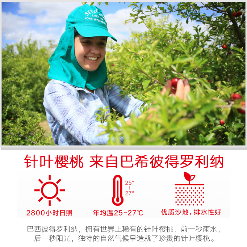 养生堂维生素C咀嚼片200片 维c 补充VC 增强免疫力 巴西针叶樱桃