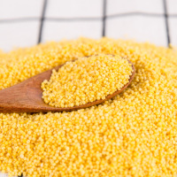七河源 有机小米1kg 杂粮粥米 月子米