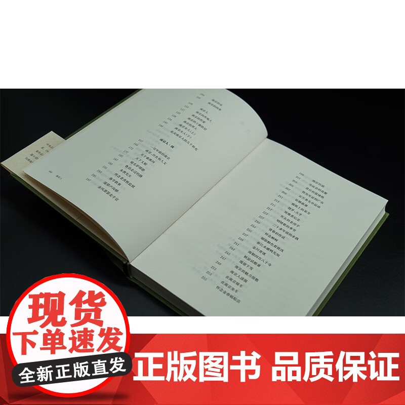 南京人 叶兆言 著 文学高清大图