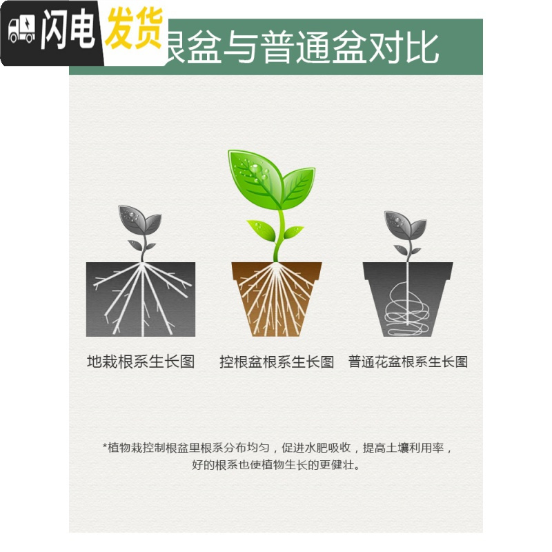 三维工匠青山盆控根月季玫瑰花盆不窝根铁线莲适合兰花树脂花盆深埋国产 小陶粒500g 10cm花盆容器高清大图