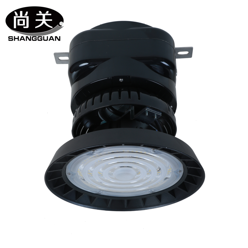 尚关(SHANGGUAN) LED智能型升降灯SQ-Z45G 120W 只
