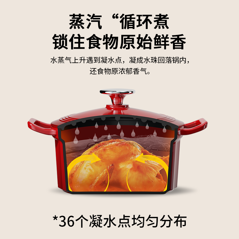康巴赫 铸铁珐琅焖炖锅-22cm(樱桃红) (KGF-D22A)高清大图