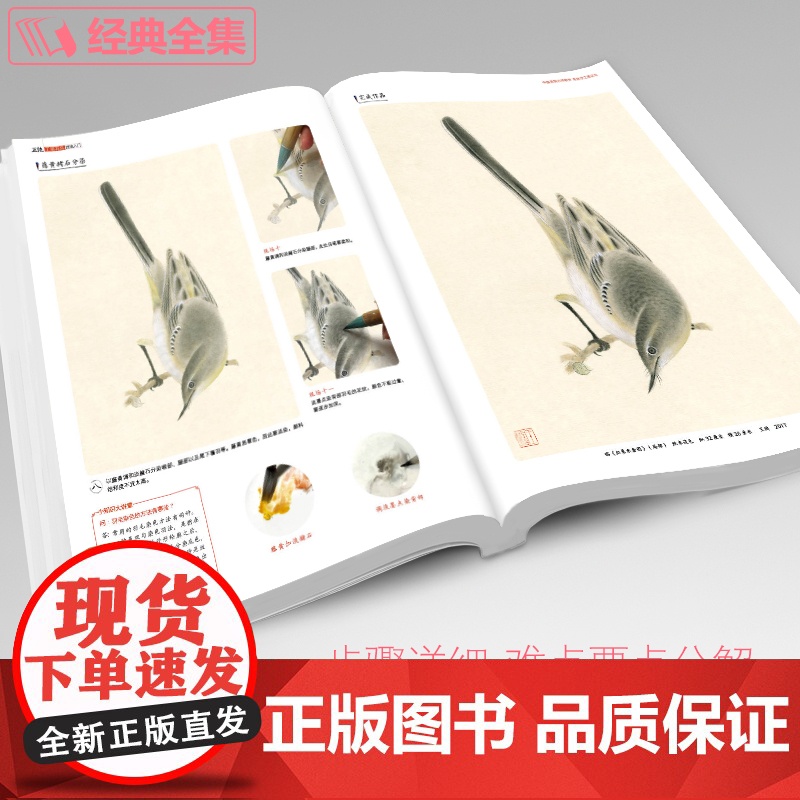正统工笔花鸟技法入门基础教程书籍中国工笔画白描勾线杨建飞sh高清大图