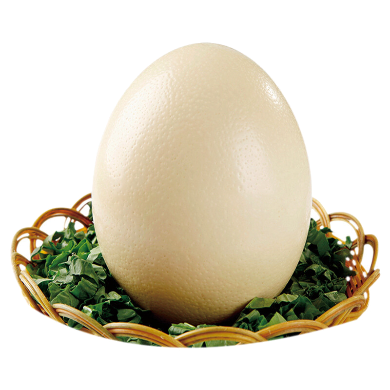 [熊猫鸟]顺丰快递 新鲜鸵鸟蛋 2.5斤/个 食用超大蛋可 鲜蛋送礼雕刻 大蛋高清大图