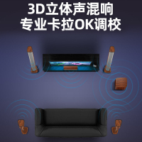 山水F9(无线环绕)5.1家庭影院音响套装客厅家用家庭ktv音箱卡拉OK功放全套组合无线蓝牙家用电视音响送话筒套装