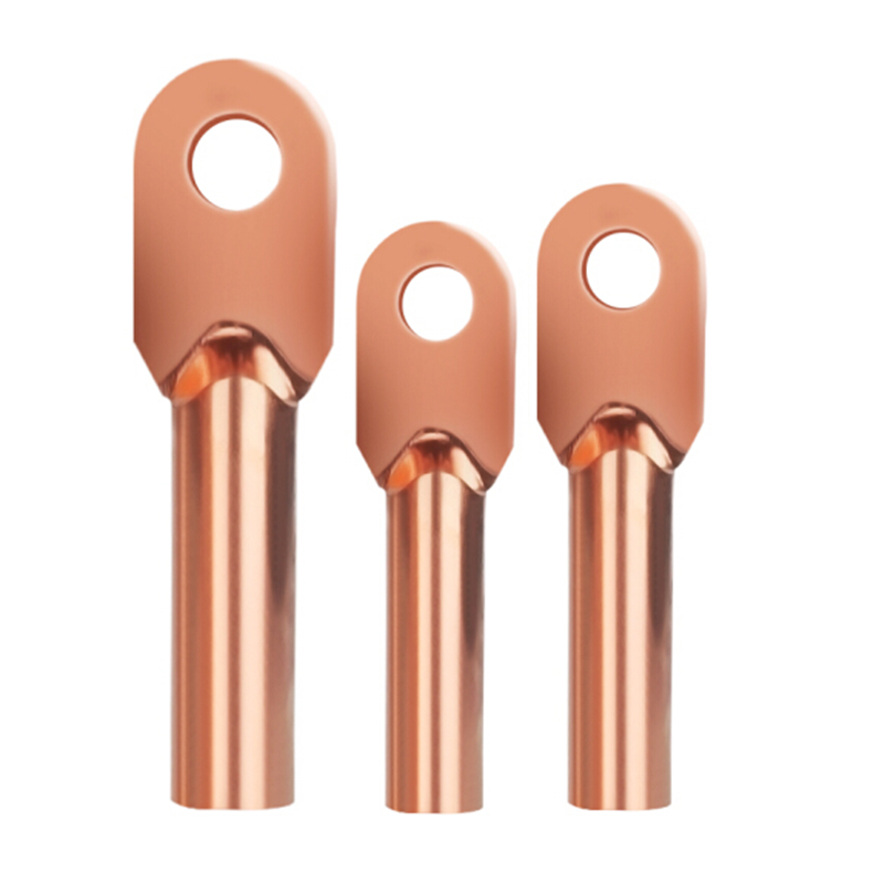 德力西(delixi)电缆铜鼻子铜线鼻子 dt-25