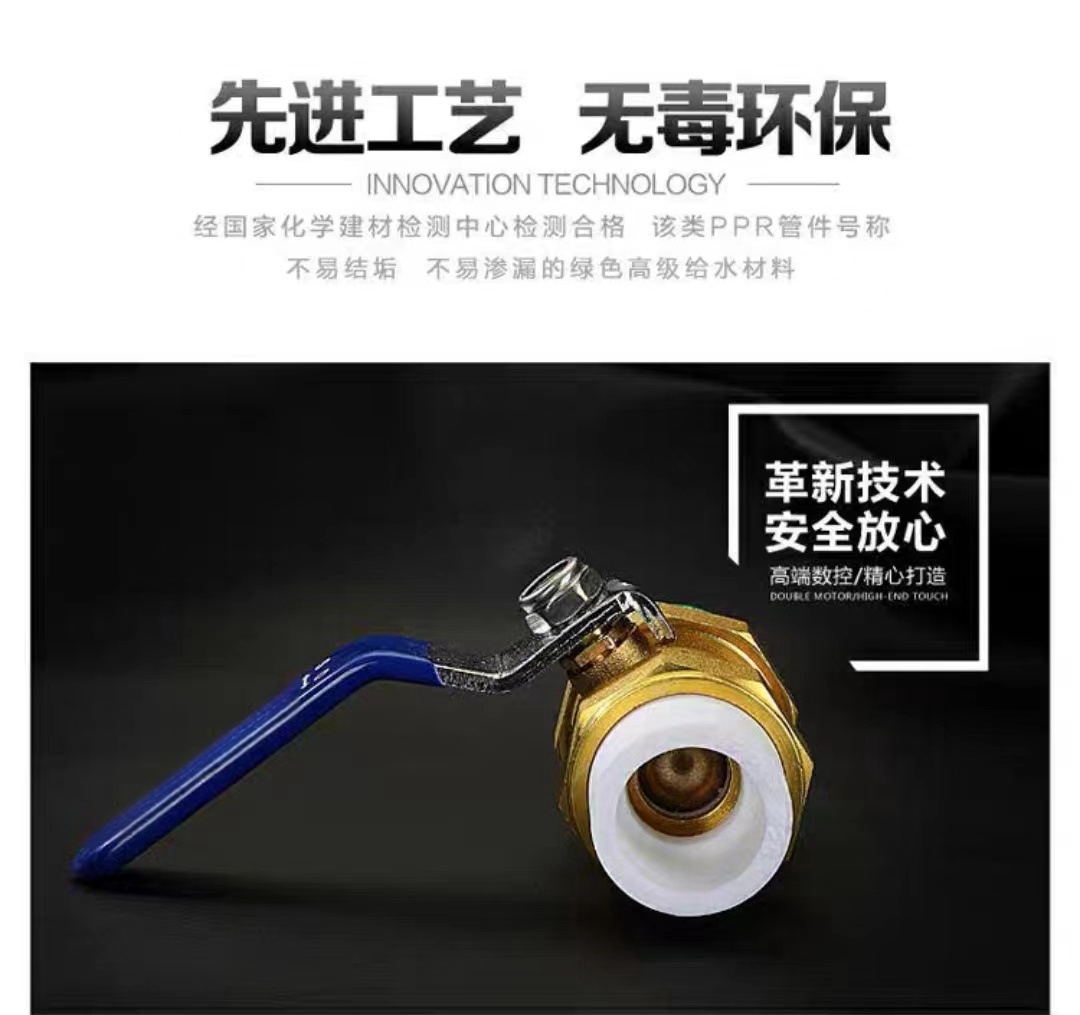 晟宏德 PPR球阀 DN20 DN25 DN32 DN40 DN50 DN 63高清大图