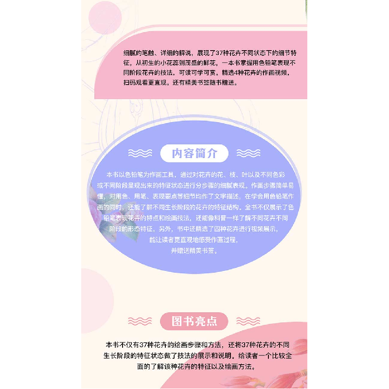 正版新书]色铅笔下的37种花卉十六糖 著9787518057009高清大图