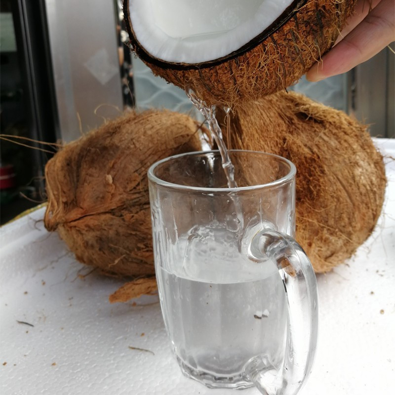 [苏鲜生]海南毛椰子 热带老椰子 6个装 整箱 热带特产 苏鲜生1高清大图