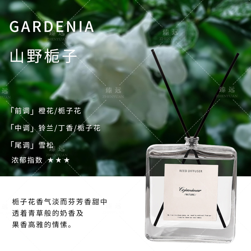 臻远 ZY-ZGTT-24 香薰 山野栀子120ml高清大图