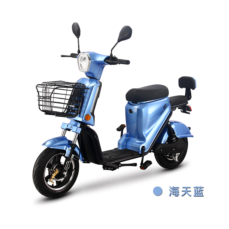 电动车/电动自行车/奔的魅力电动车/新国标电动车/两轮电动车/简易车