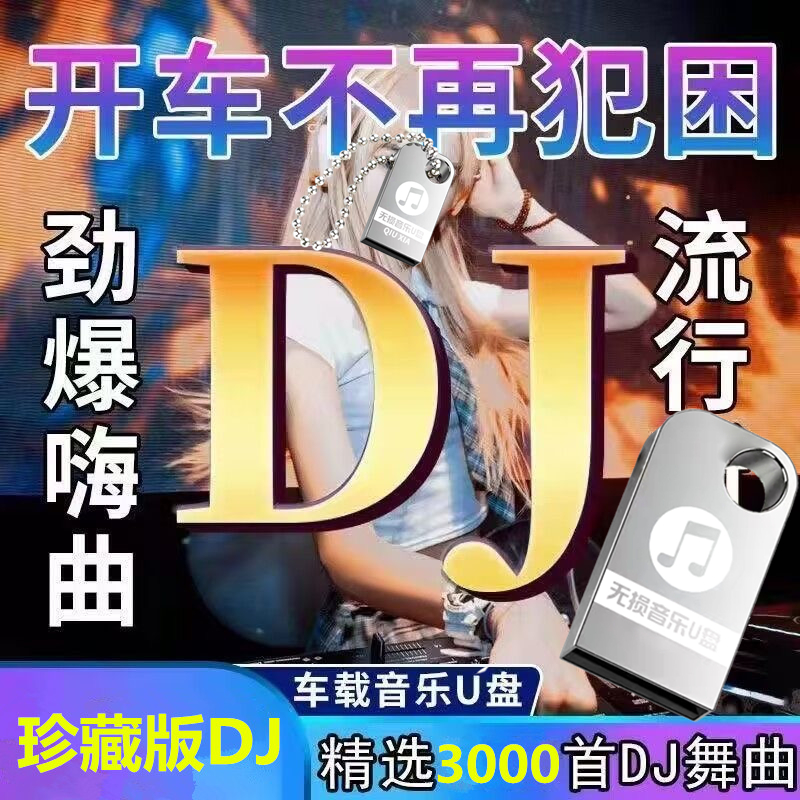 [补贴10%]车载u盘2023年新款汽车U盘流行高品质车用无损音质汽车音响法欧高清大图