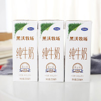 完达山苗条砖黑沃牧场纯牛奶250ml*12盒 黑沃牧场纯牛奶250g*12盒