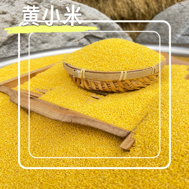 鲁强石磨源 小米礼盒 500g*5袋 酥田箱装高清大图