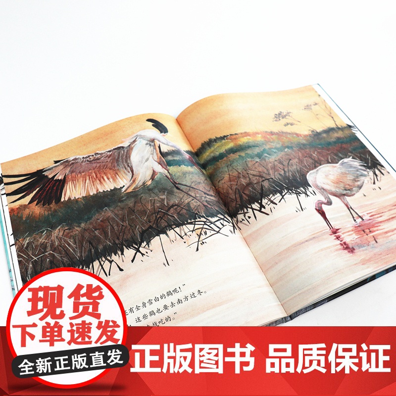 我的飞鸟朋友:的旅程高清大图