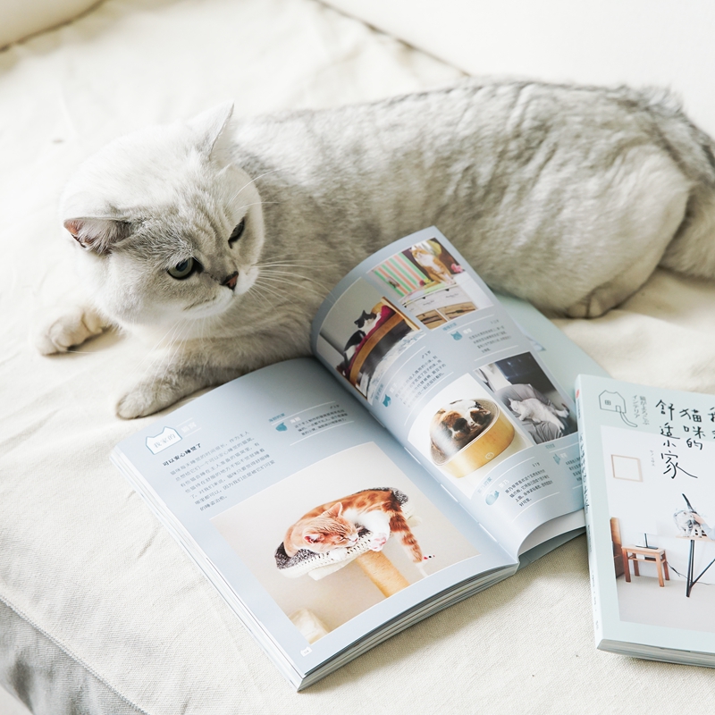 [正版]我和猫咪的舒适小家 矢野美沙 绘 人猫共居家装法则 生活窍门 宠物生活 生活居家 室内设计布局 出版社图书高清大图