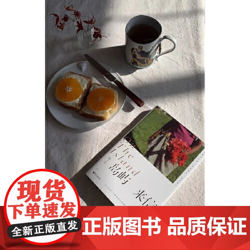 正版 岛屿来信 陶立夏经典作品精装增订版 继 分开旅行 练习一个人 后的经典 全新设计 精装典藏 陶立夏 陶立夏新书高清大图