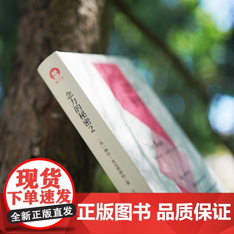念力的秘密2心灵励志 心理学 中国青年出版社正版高清大图