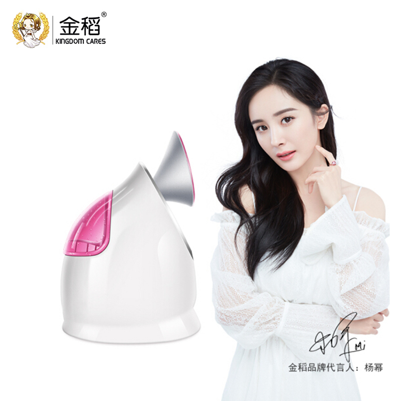 金稻( KINGDOMCARES)加湿器香薰补水器 KD2331A 纳米离子雾 陶瓷发热片 热喷 美容仪