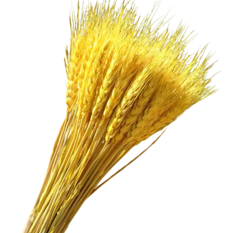 锦瑞星装饰仿真花摆件麦穗干花F3-A个高清大图