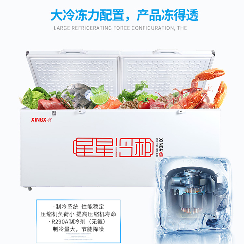 星星(XINGX) BD/BC-718C(G)718升冷藏冷冻冰柜卧式冷柜冰柜大冰柜商用保鲜冷冻转换柜