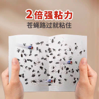 威立世Wallesh 粘蝇贴50片