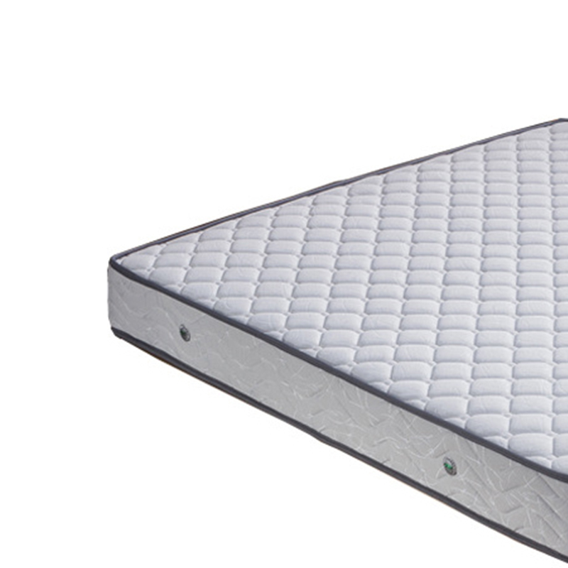 合祥源 椰棕弹簧床垫 1800*2000*200mm QX-CD08 块高清大图