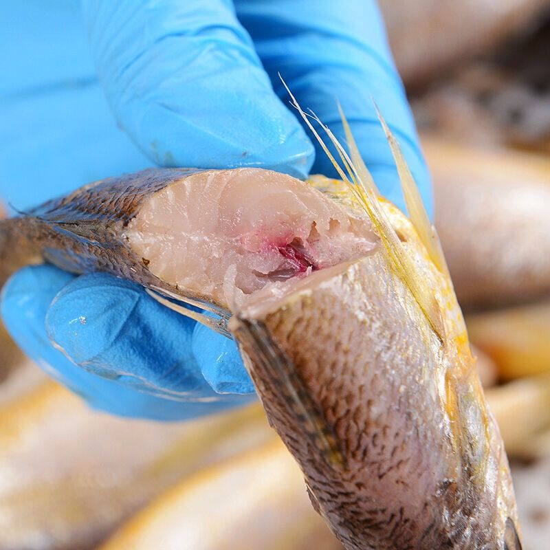 小黄鱼新鲜小黄鱼冷冻黄花鱼大黄花新鲜海鲜香酥黄花鱼 5斤(一斤9-12条即将结束特价高清大图