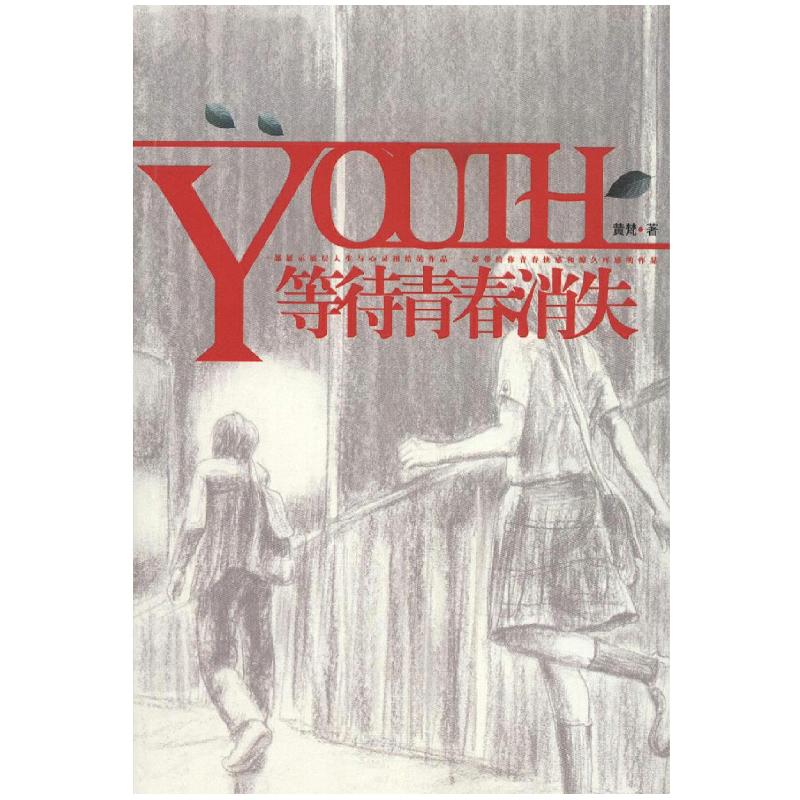 正版新书】教师职业生活中的自我认同危机蔡辰梅9787516178843