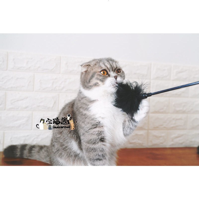 宅猫酱sm风逗猫棒请叫我女王大人猫咪大爱逗猫玩具