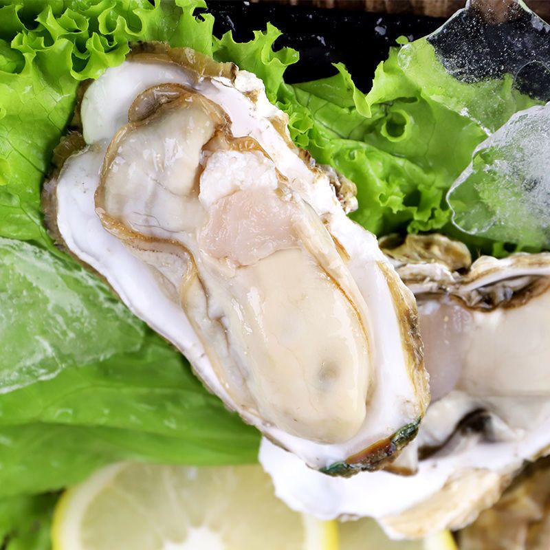 上海团5件起送北部湾白蚝生蚝广西钦州海鲜大蚝25kg约1720只装3xl号