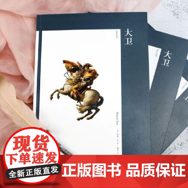 [央视网]艺术与观念 07 大卫 法国新古典主义画派奠基人 拿破仑时代的全景画家 以史为画 图绘波澜壮阔的法兰西历史高清大图