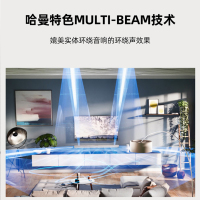 哈曼卡顿Citation MB1100+小低音炮 回音壁音响5.1.2声道 全景声家庭影院 无线蓝牙 灰色