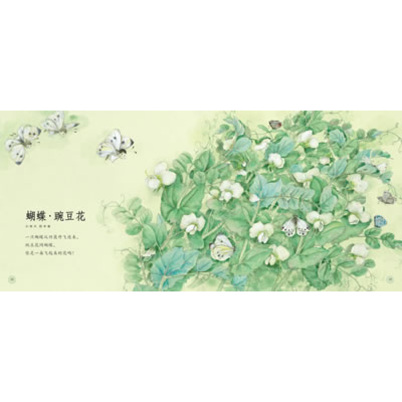 正版新书]蝴蝶·豌豆花冰心,叶圣陶,金波9787543480568高清大图