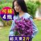 干花花束满天星鲜假仿真卉瓶装饰品客厅批插永生枝摆件大房间ins