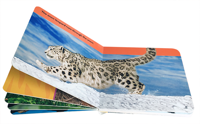 [正版]英文原版绘本 National Geographic Kids Look and Learn: Big Cats高清大图