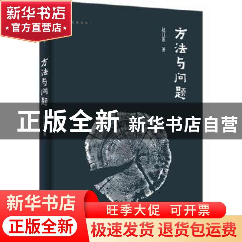正版 方法与问题 赵汀阳著 岳麓书社 9787553818207 书籍高清大图