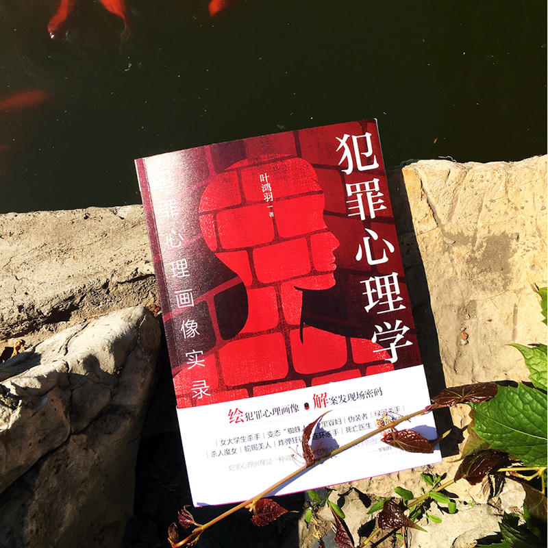 [正版] 犯罪心理学:犯罪心理画像实录 全叶鸿羽 绘犯罪心理画像 解案发现场密码 比雷米小说更惊悚 比高铭的分析更透彻高清大图