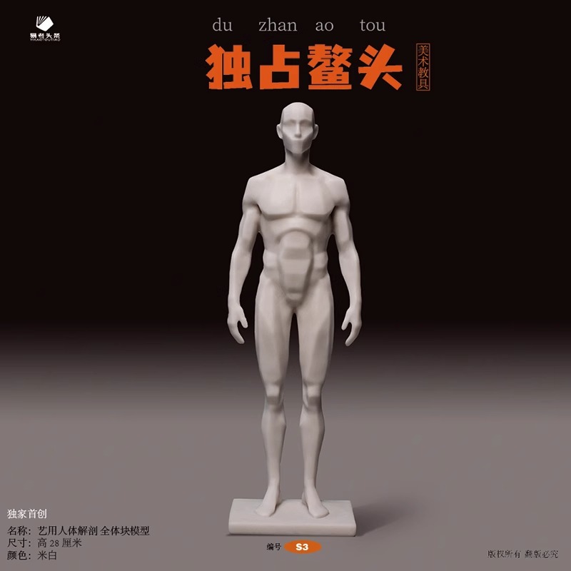 艺用人体解剖体块与肌肉模型(S2)+ 艺用人体解剖 全体块模型(S3) [正版]美术教具新品发布艺用人体解剖教具速写 比高清大图