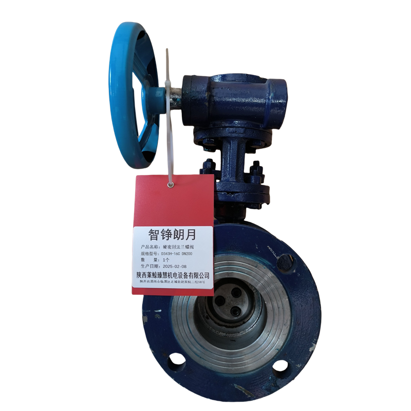 智铮朗月 硬密封法兰蝶阀 D343H-16C DN200 个