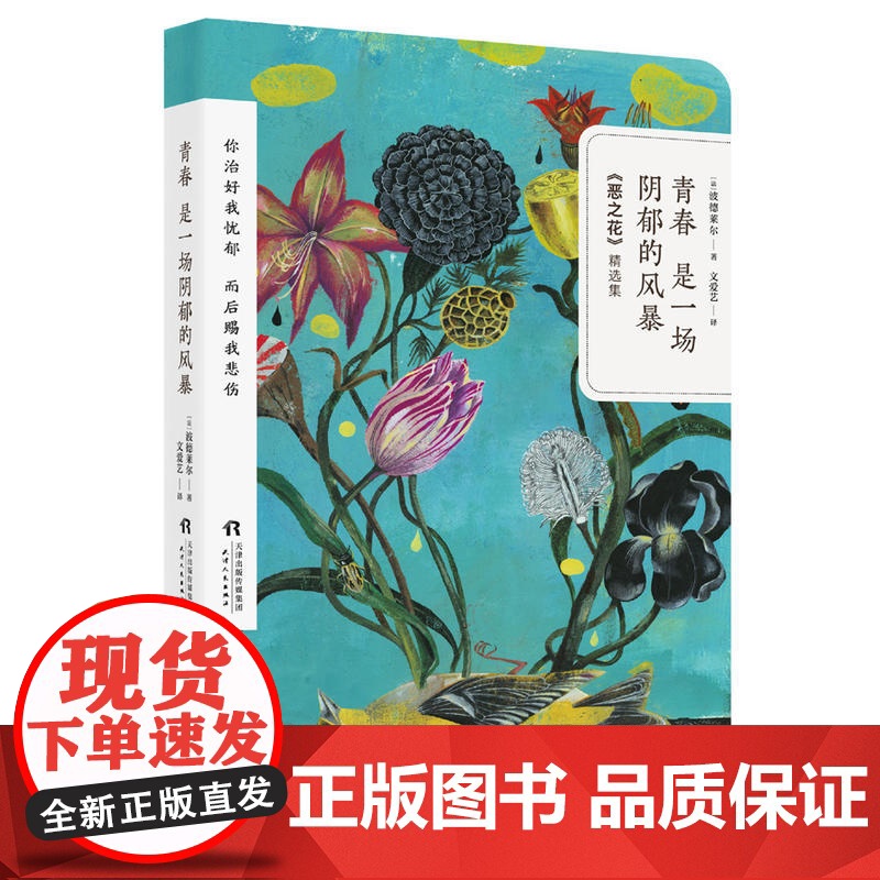 青春是一场阴郁的风暴 波德莱尔 天津人民出版社 正版书籍高清大图